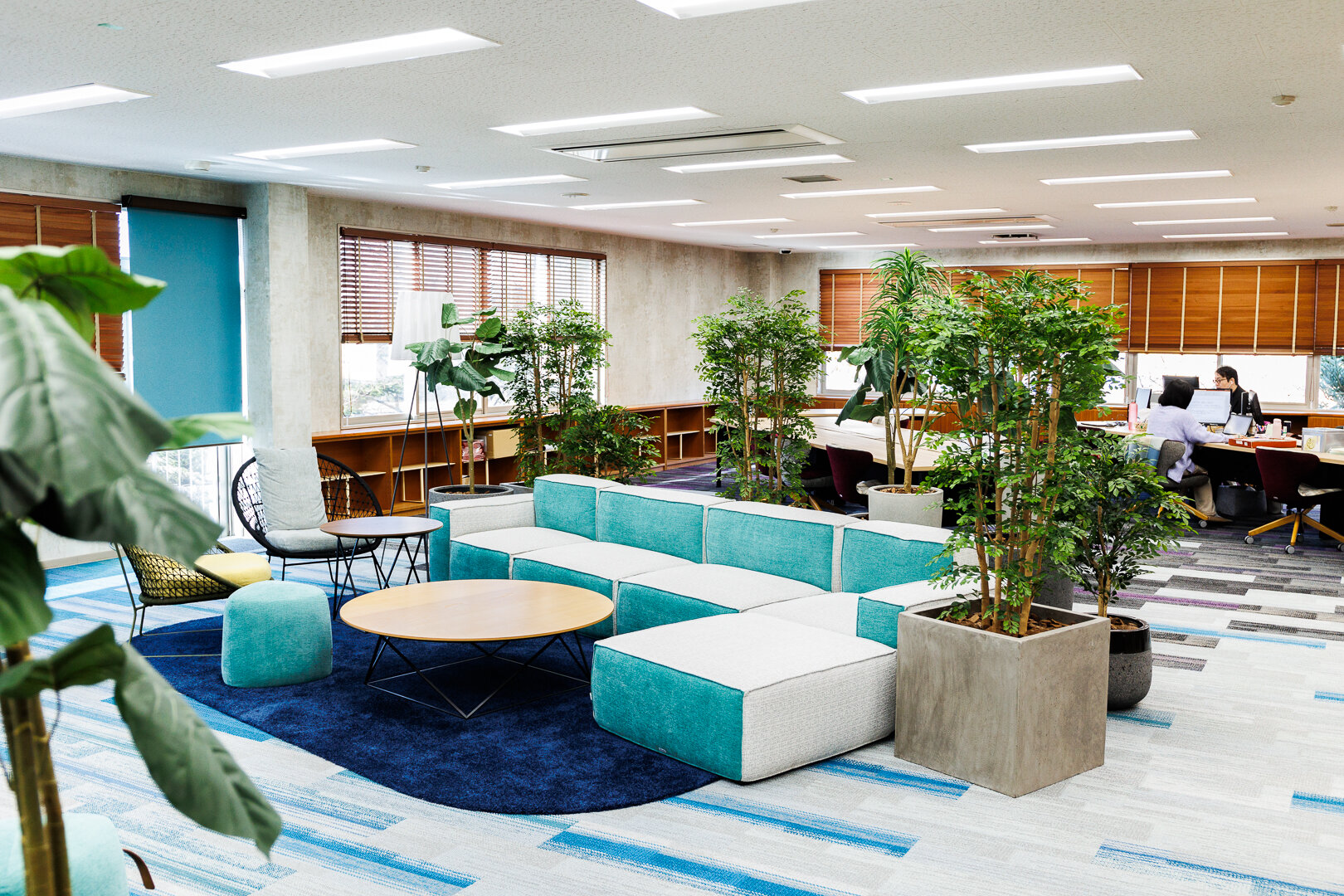 e5b6d5490093a2ef0ae3462123ec54